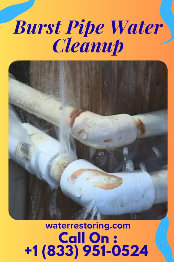 Burst Pipe Water Cleanup in Ocean City, FL