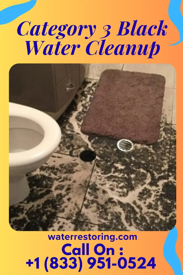 Category 3 Black Water Cleanup in Ocean City, FL