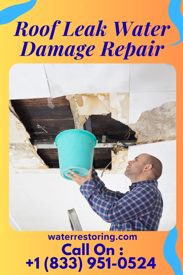 Roof Leak Water Damage Repair in Ocean City, FL